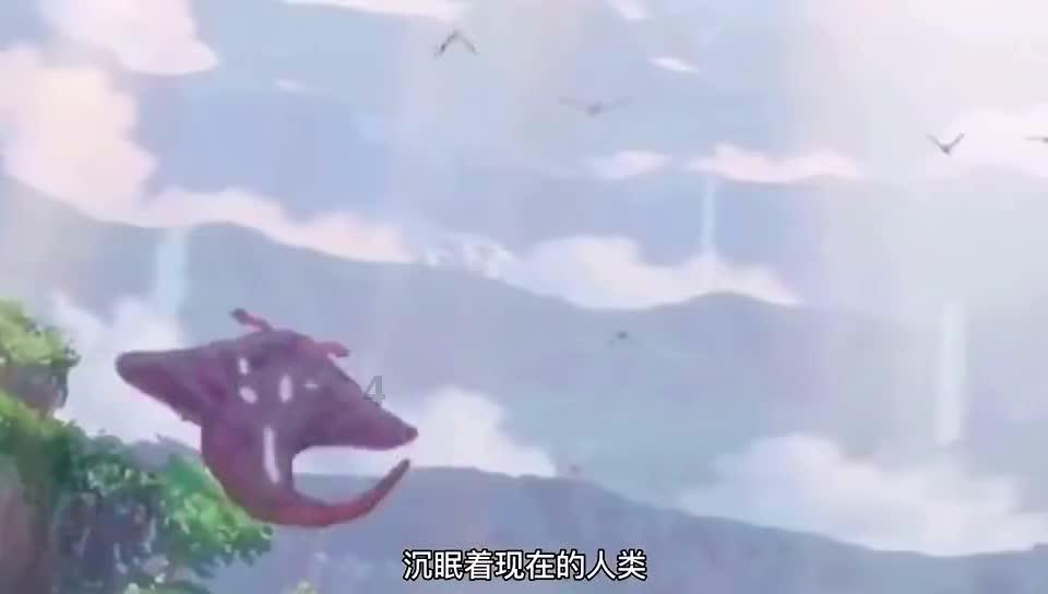 救援小孔雀
